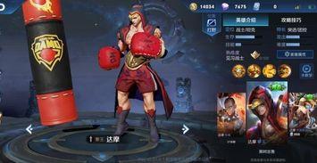 王者荣耀拳王最新爆料,王者荣耀最新爆料揭秘神秘英雄