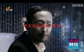 山东卫视回看在线观看,重温经典，畅享精彩瞬间